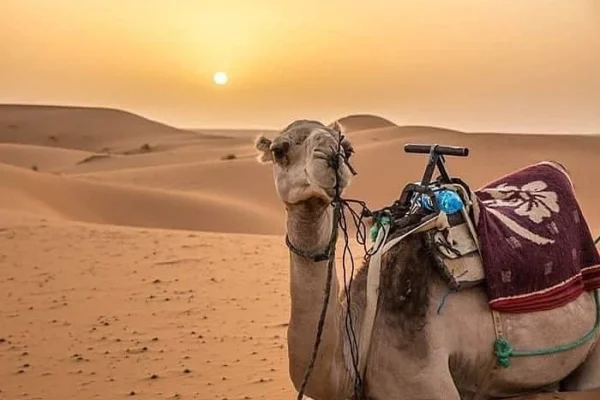 3-Day Errachidia to Merzouga Desert Tour